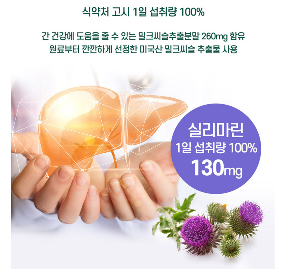 1+1 실리마린 미국산 엉겅퀴 밀크씨슬 녹차 아미노산 테아닌 320정